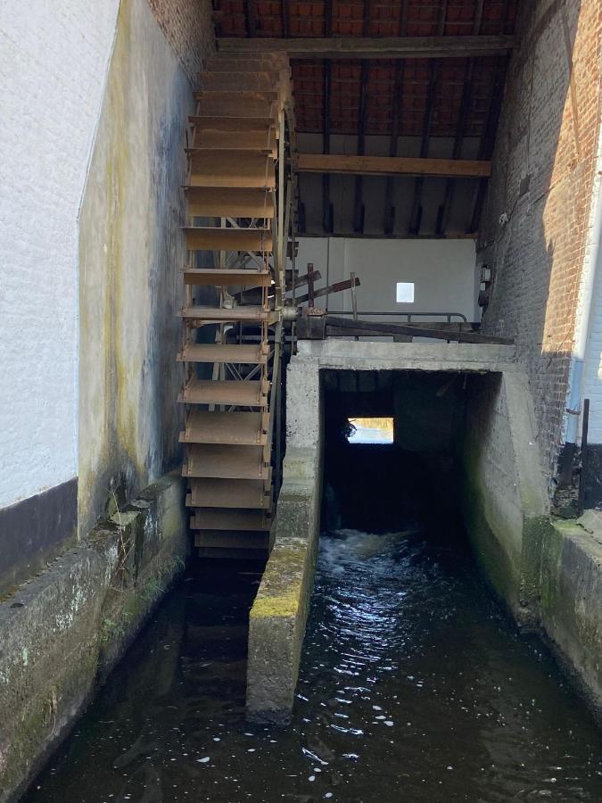 Vakantiewoning Wurfeldermolen Maaseik Exteriér fotografie